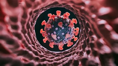 ابتكار « خوارزمية» تتنبأ بالاكثر عرضة للوفاة بكورونا 