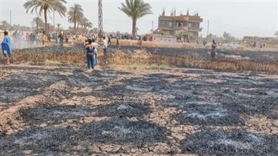 حريق يلتهم فدان قمح بسوهاج