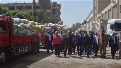محافظ الجيزة: توريد 12 ألف طن قمح للشون والصوامع حتى الآن