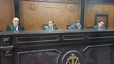 رئيس محكمة جنايات بنها لـ أمين شرطة قتل شقيقين: سلاحك لحماية الناس وليس إرهابهم