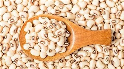 تفسير رؤية اللوبيا في المنام وعلاقتها بالحصول على وظيفة مرموقة 