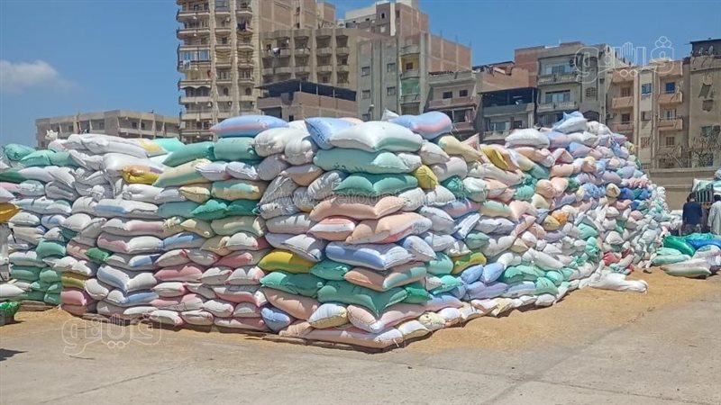 تخزين القمح