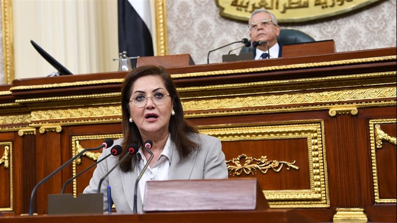 وزيرة التخطيط 