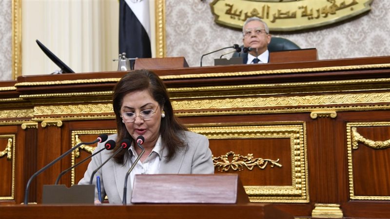 وزيرة التخطيط 