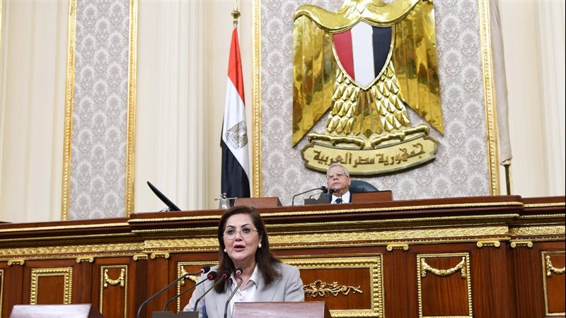 وزيرة التخطيط أمام