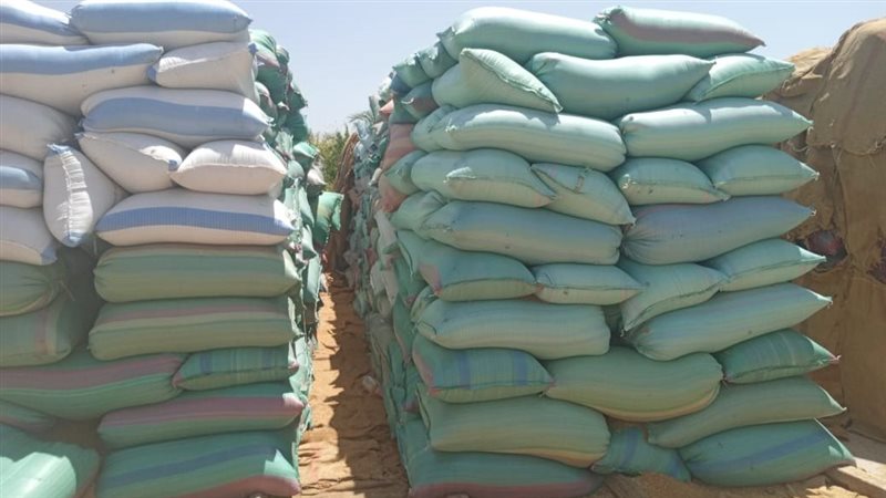 توريد القمح