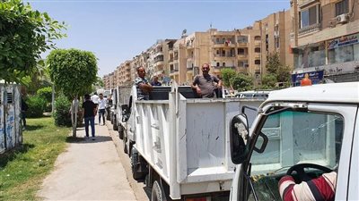 الجيزة توجه حملة مكبرة لرفع الإشغالات بحدائق الاهرام | صور
