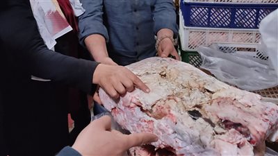 ضبط 1،5 طن لحوم فاسدة للاستخدام الآدمي بالمنوفية