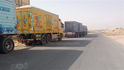 محافظ مطروح يتابع توريد القمح لصومعة الشمامة بالحمام|صور