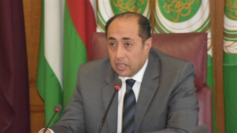 السفير حسام زكى الأمين