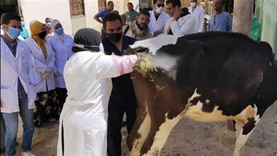 بالتفاصيل.. طريقة تنفيذ مشروع وحدة خدمات رعاية بيطرية متنقلة بتمويل من تنمية المشروعات