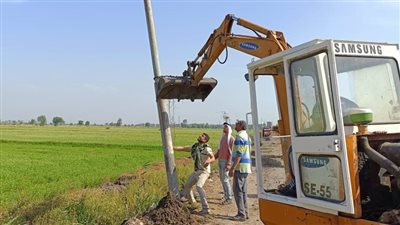 محافظ الدقهلية: خطة متكاملة لزراعة أعمدة كهرباء بين القرى