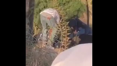 لحظة استشهاد الصحفية شيرين أبو عاقلة برصاص الاحتلال الإسرائيلي| فيديو