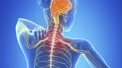 الأعراض الخاصة للتصلب المتعدد لدى النساء 