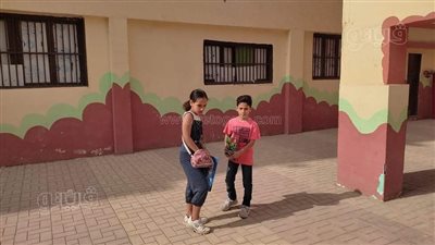 توافد طلاب رابعة ابتدائي على لجان الجيزة لأداء امتحان الرياضيات | فيديو وصور