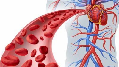 كل ما تريد معرفته عن ضيق الشريان الأورطي ومضاعفاته