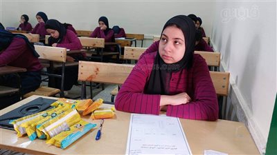 بث مباشر.. خروج طلاب ثانية ثانوي من اللجان بعد أدائهم امتحان اللغة العربية بالبحيرة