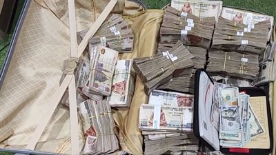 طلب إحاطة يحذر من تفاقم ظاهرة 