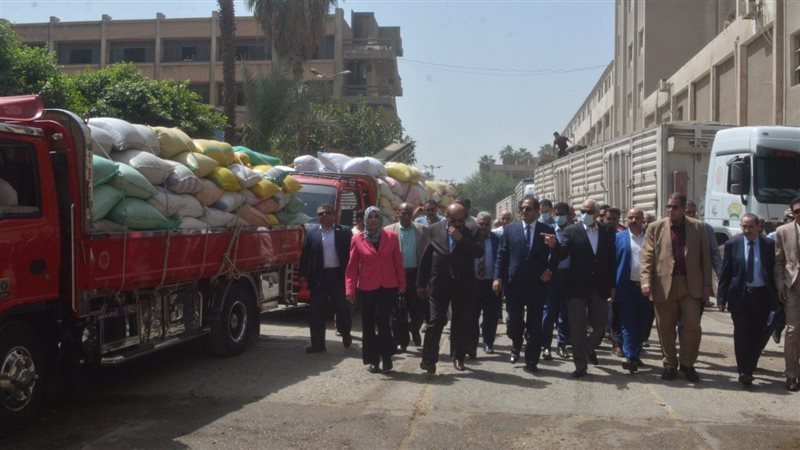 توريد القمح 