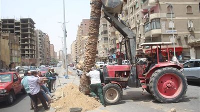 رفع 6975 طن مخلفات بنطاق ثلاثة أحياء بالجيزة |صور