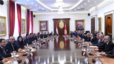 رئيسة الحكومة التونسية تعلن توسيع التعاون مع مصر في قطاعات الأمن الغذائي والصحي 