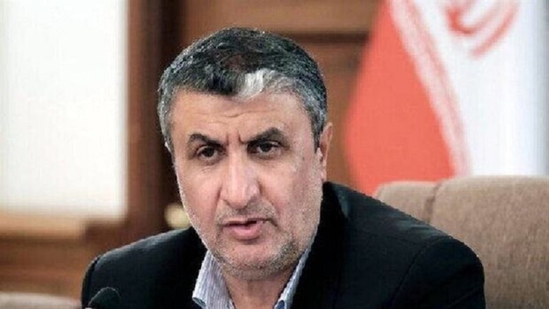  رئيس منظمة الطاقة