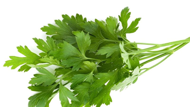 تفسير رؤية البقدونس