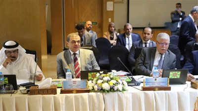 سعفان: القضية الفلسطينية أولوية أولى في مصر 