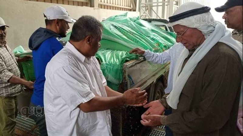 جانب من عمليات توريد