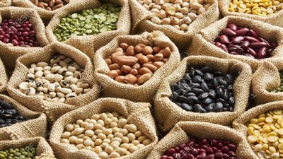 أسعار البقوليات اليوم الجمعة 20-5-2022 في القليوبية