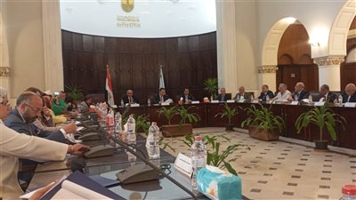 قنصوة يطالب بتعديل قانون 