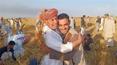 بمشاركة 1000 شخص.. انطلاق الحصاد الخيري للشعير بالنجيلة غرب مطروح | صور