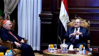 رئيس مجلس الشيوخ يلتقي بطريرك بابل للكلدان الكاثوليك بالعراق