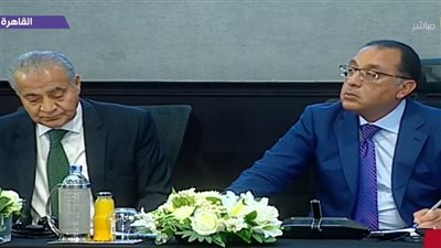 رئيس الوزراء: لا نحتاج سوى لـ 30% من العاملين في الدولة 