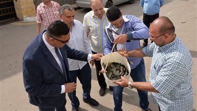 محافظ الدقهلية يدشن أعمال خطة إلقاء 2 مليون ذريعة سمكية في النيل | صور 