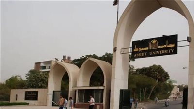 4 ورش عمل في المؤتمر الحادي عشر لقسم الأمراض الصدرية بكلية طب أسيوط 