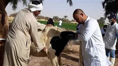  استئناف القوافل البيطرية بقرى أسيوط لمواجهة الحمى القلاعية 