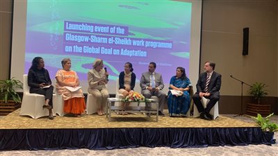 وزيرة البيئة: تسريع وتيرة العمل والتحدى الحقيقي في مفاوضات المناخ