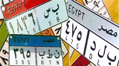 طرح عدد من اللوحات المميزة في المزاد بسعر يصل 100 ألف جنيه