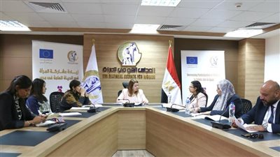 قومي المرأة يناقش أنشطة مشروع 