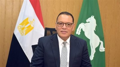 محافظ الشرقية: تنفيذ 93 مشروعا بقطاع الصرف الصحي