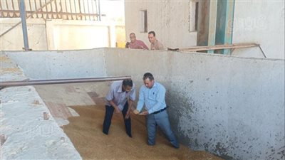 إحباط تهريب 10 أطنان قمح محلي بمطاحن خاصة في الإسماعيلية | صور