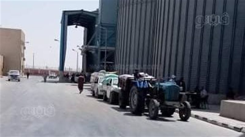 توريد القمح بصوامع