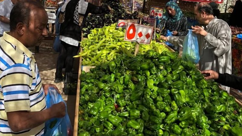 أسواق التجزئة بالإسماعيليه