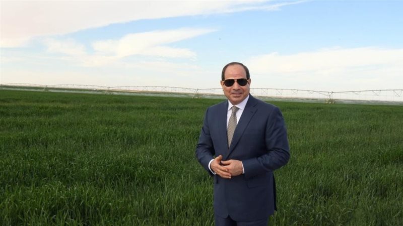 الرئيس السيسي