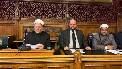 المفتي: ندعم حرية الاعتقاد والرأي في حدود حفظ الكرامة الإنسانية