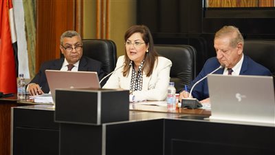 التخطيط: التركيز على قضايا تنمية الأسرة أحد أولويات رؤية مصر 2030 المحدثة