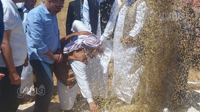 محافظ مطروح يشهد حصاد الشعير بالنجيلة ويؤكد: موسم خير على أهل البادية | فيديو وصور