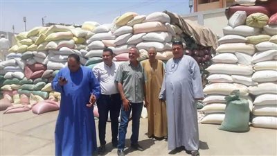 توريد 41 ألف طن قمح لشون وصوامع سوهاج 