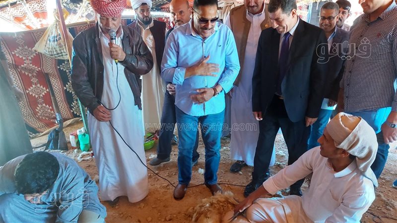 محافظ مطروح يشهد